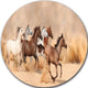 Herd Gallops In Sand Storm, Photography Disc Metal Artwork, 23"