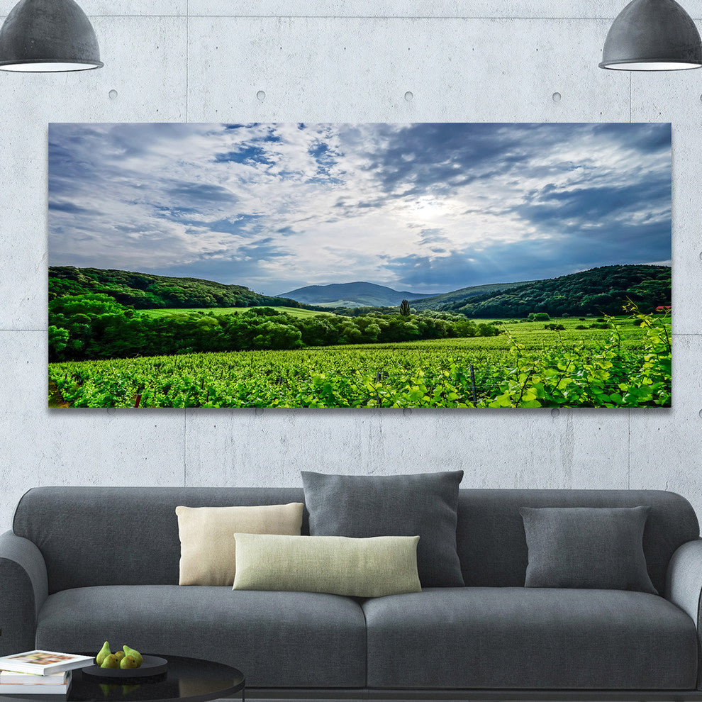 Thunderstorm Weather over Vineyards, Large landscape Canvas Art Print, 60"x28"