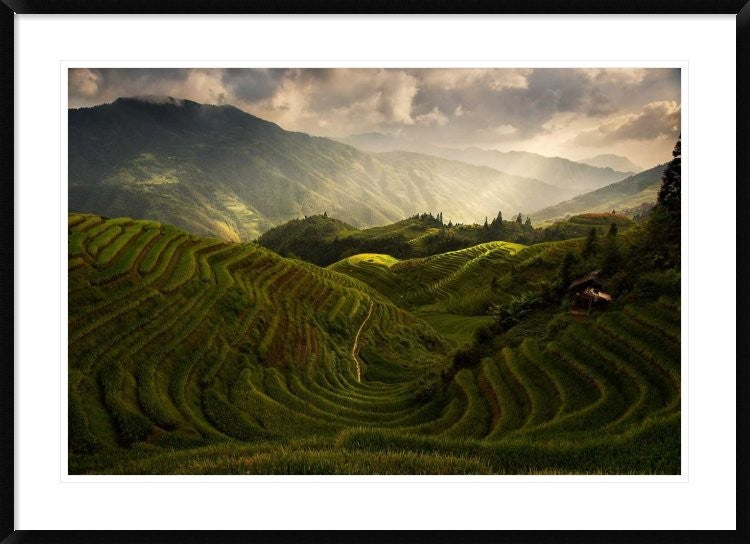 "A Tuscan Feel In China" Framed Digital Print by Max Witjes, 44x32"
