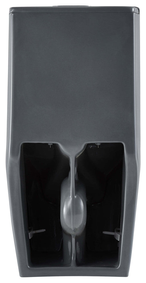 Fine Fixtures Dual-Flush Elongated One-Piece Toilet With High Efficiency Flush, Matte Grey