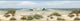 Falmouth Beige Dunes Border Wallpaper, Bolt