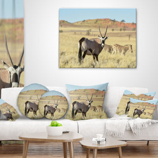 Wildlife in Namibia Grassland African Throw Pillow, 18"x18"