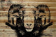 "Staring Ram Eyes" Painting Print on Natural Pine Wood, 36"x24"