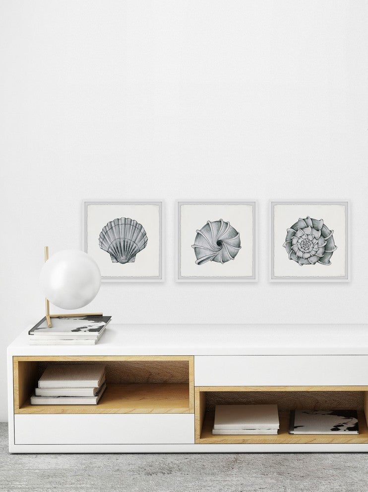 Pretty Shells Triptych, 54"x18"