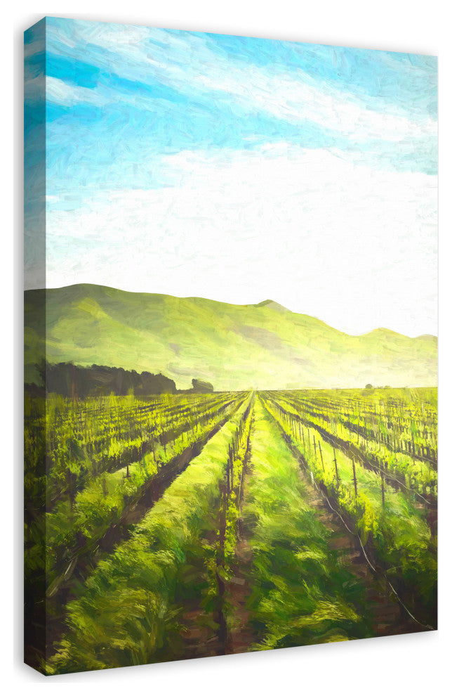 Wine Fields 20x30 Canvas