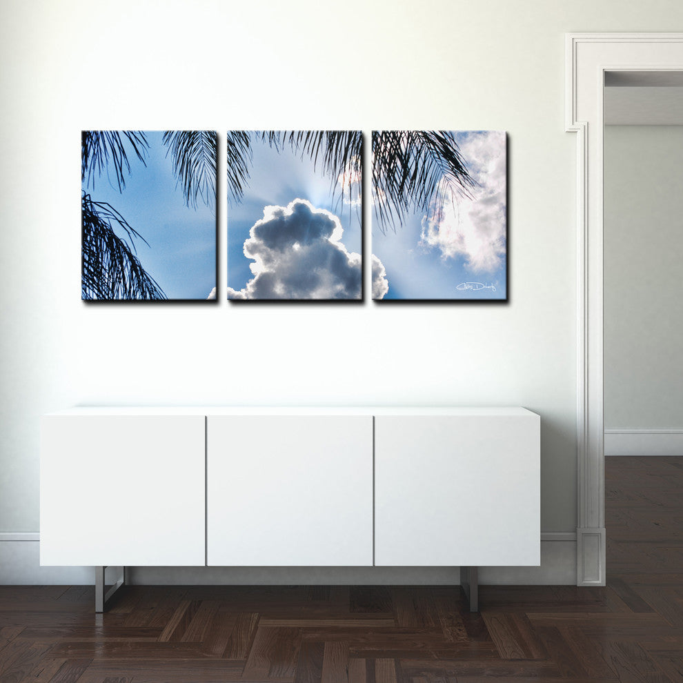 Ready2hangart Chris Doherty 'Cloudy Palms' 3-piece Canvas Wall Art