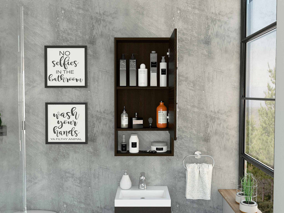 Modesto Medicine Cabinet, Black