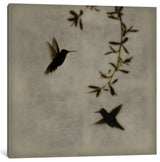 "Dance In Flight I" by Chris Donovan, Canvas Print, 26"x26"