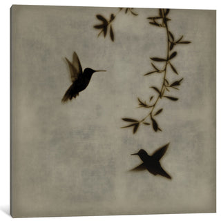 "Dance In Flight I" by Chris Donovan, Canvas Print, 26"x26"