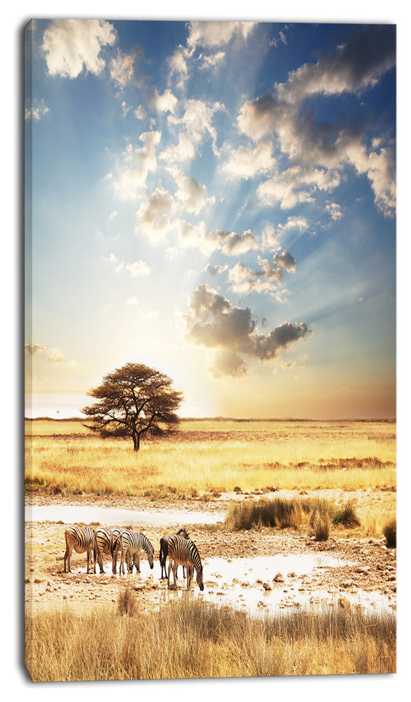African Zebras Drinking Water, Extra Large African Canvas Art Print, 16"x32"