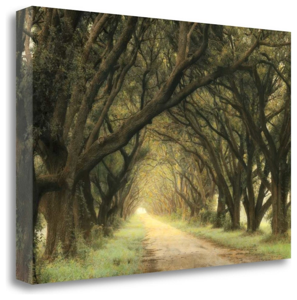 "Evergreen Alley" By William Guion, Giclee Print on Gallery Wrap Canvas