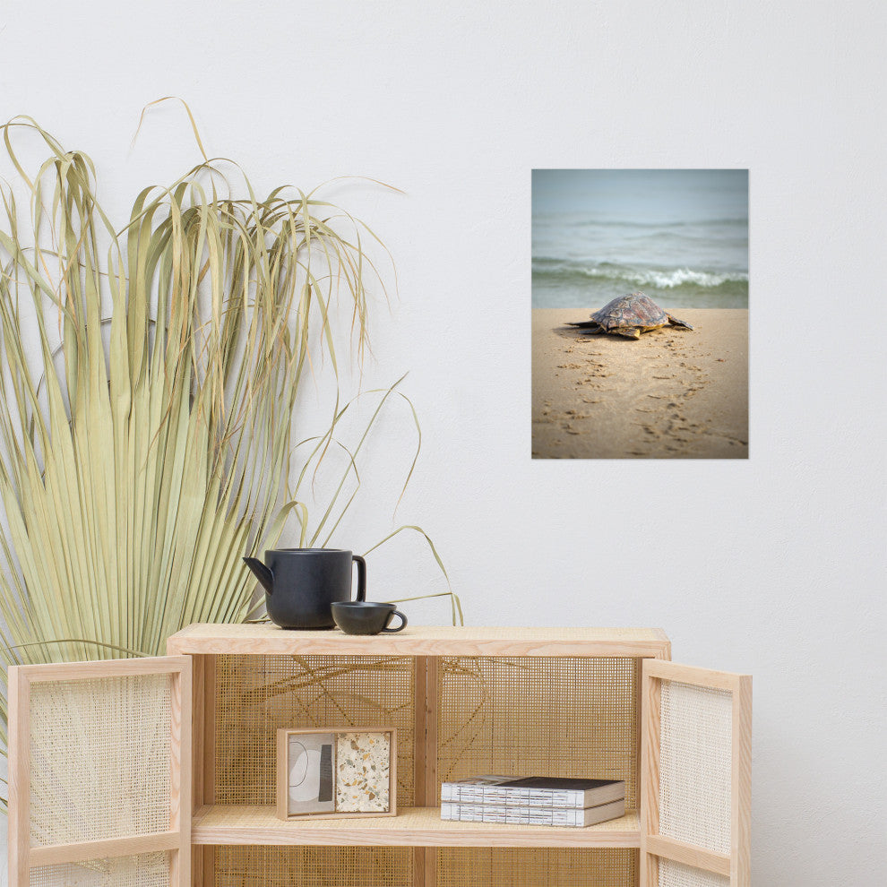 Baby Loggerhead Sea Turtle Beach Ocean Photograph Loose Wall Art Print, 18" X 24"