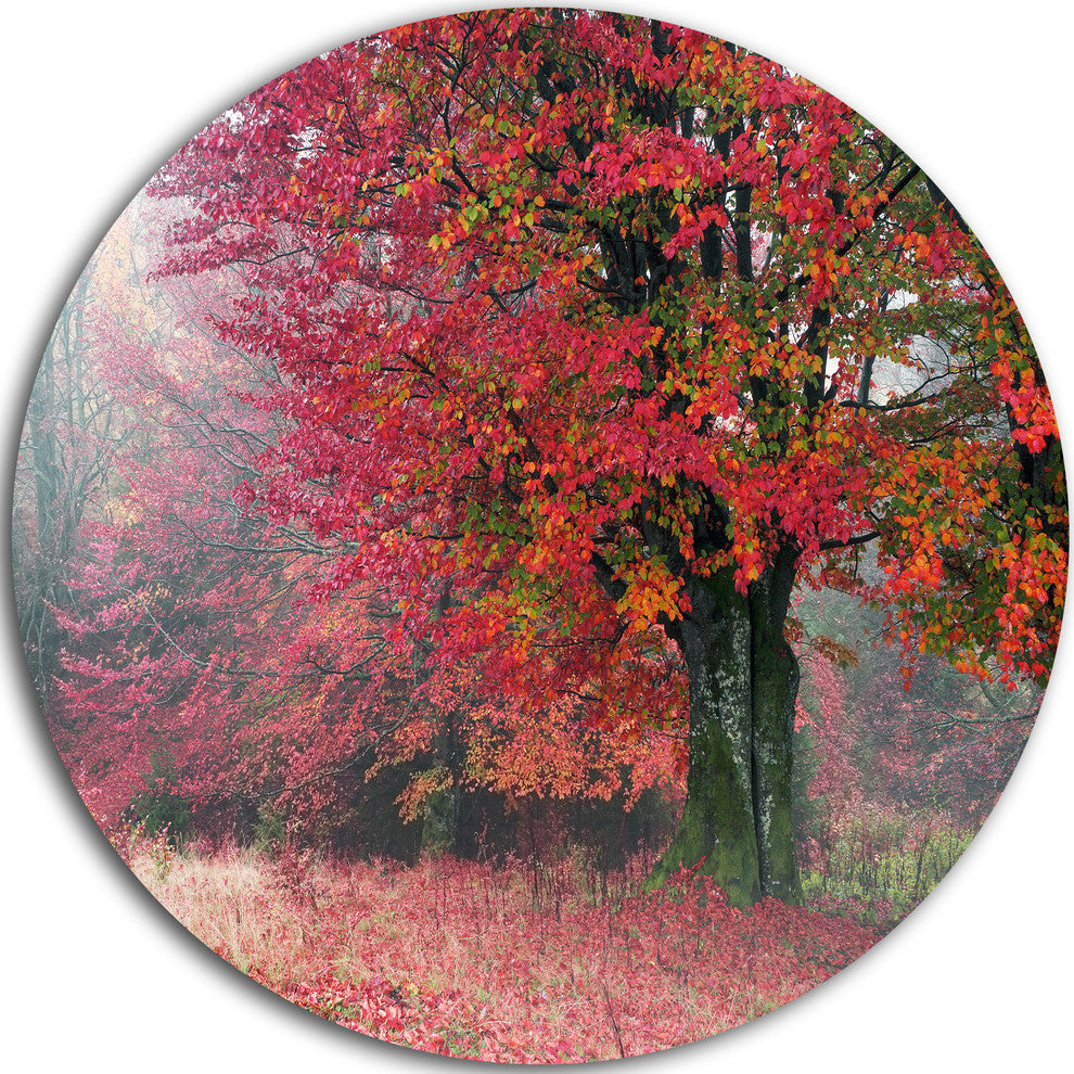 Calm Autumn Forest After Storm, Landscape Round Metal Wall Art, 38"