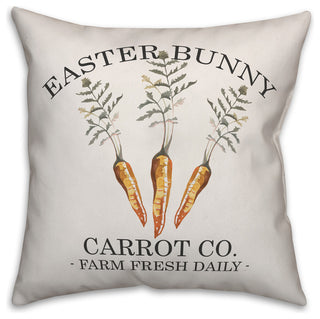 Easter Bunny Carrot Co 20x20 Throw Pillow Cover