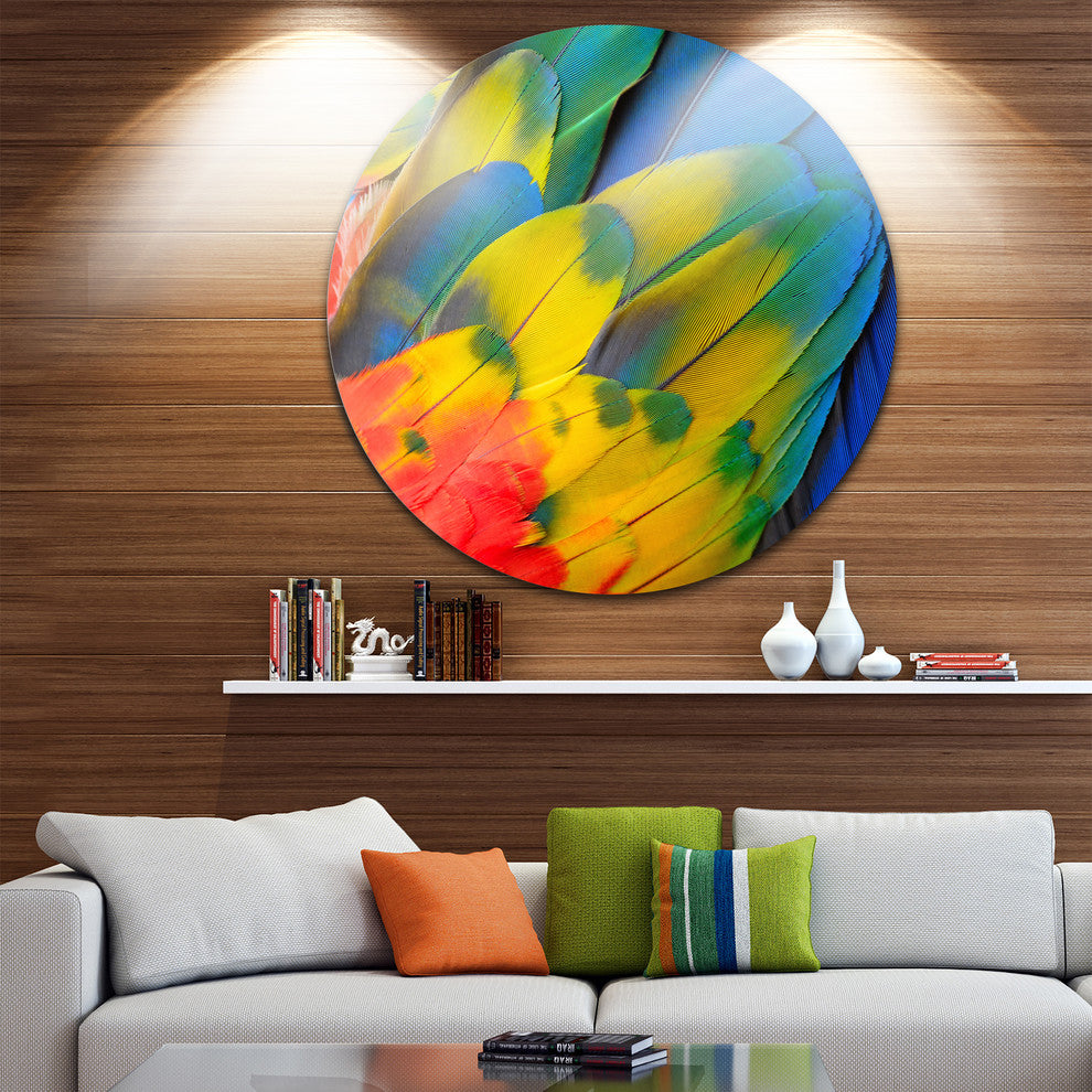 Scarlet Macaw Feathers, Photography Large Disc Metal Wall Art, 38"