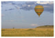 "Hot air balloon flying over herd, Masai Mara Triangle" Paper Art, 38"x26"