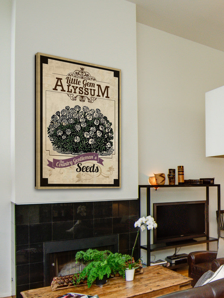 "Flower Packet Alyssum" Painting Print on Canvas