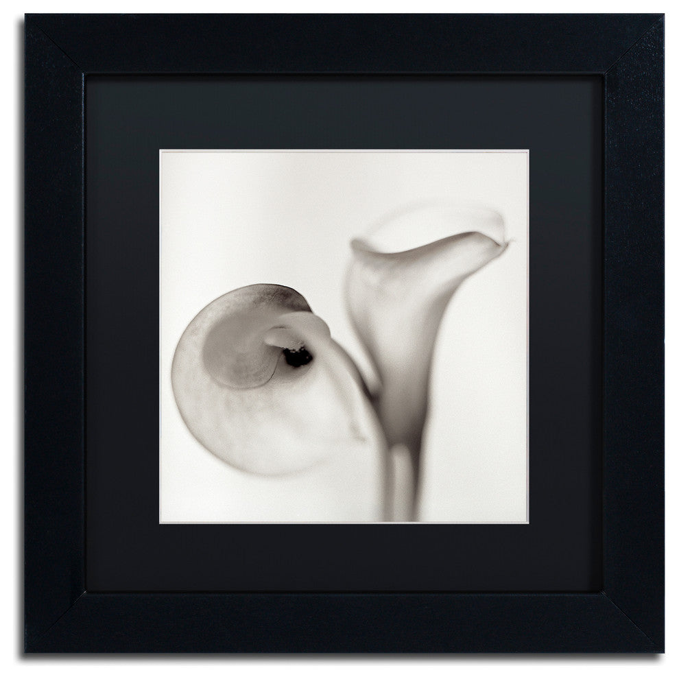 Alan Blaustein ''Florison 35'' Art, Black Frame, Black Mat, 11x11