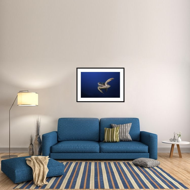"Green Turtle" Framed Digital Print by Barathieu Gabriel, 44x32"