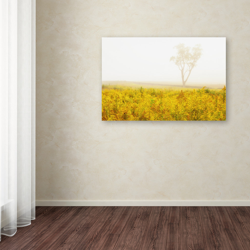 PIPA Fine Art 'Dreams of Goldenrod and Fog' Canvas Art, 19x12