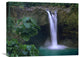 "Rainbow Falls Cascading Into Pool, Big Island, Hawaii" Artwork, 24" x 18"