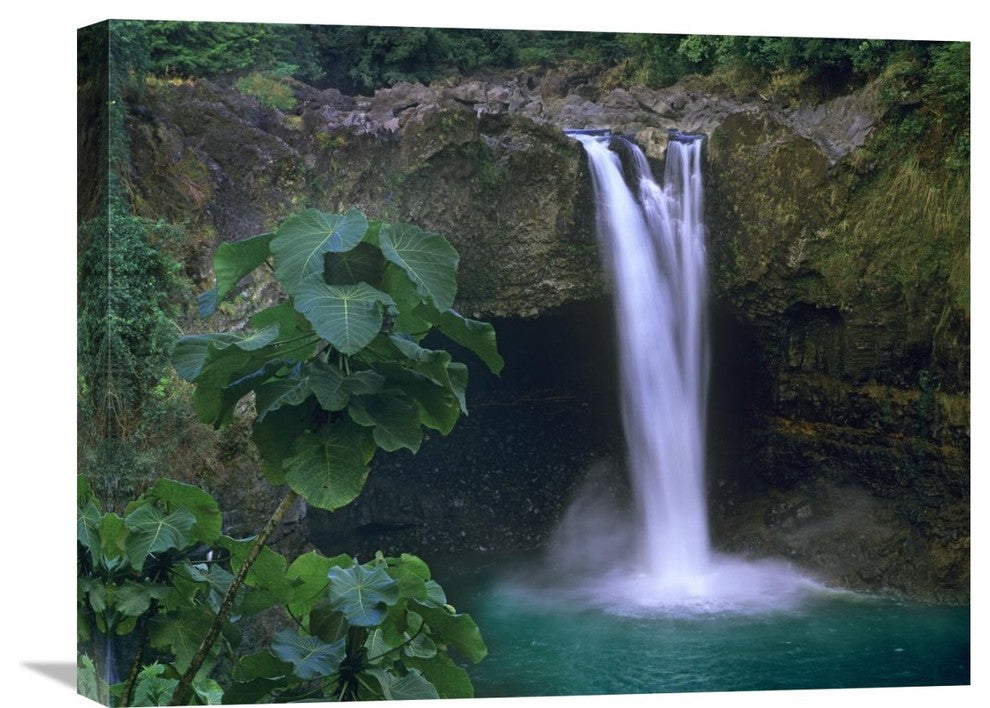 "Rainbow Falls Cascading Into Pool, Big Island, Hawaii" Artwork, 24" x 18"