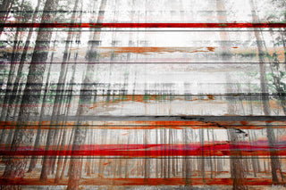 "Grey Trees" Print on White Wood, 36"x24"