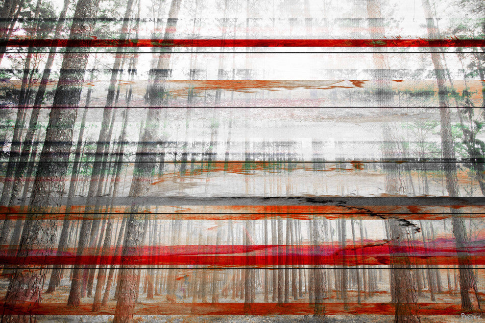 "Grey Trees" Print on White Wood, 36"x24"