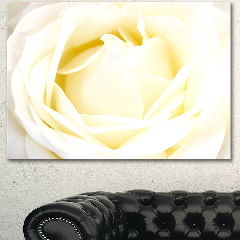 White Rose with Close Up Petals, Floral Canvas Art Print, 40"x30"