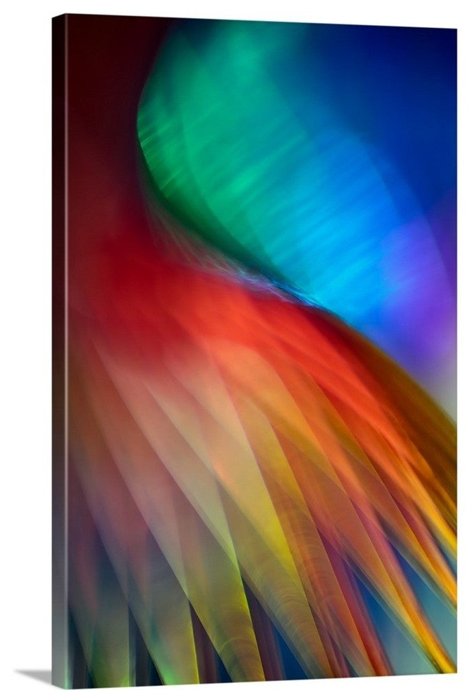 "Flamenco" Wrapped Canvas Art Print, 16"x24"x1.5"