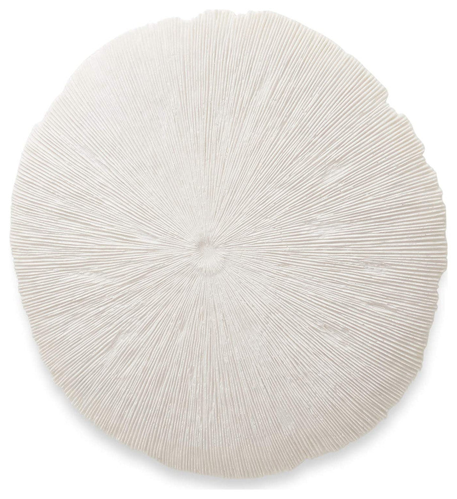 Coastal Burst Bas-relief Wall Decor, 24"