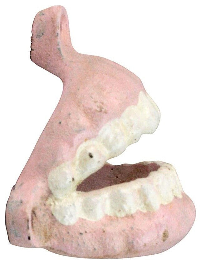 Set of 3 False Teeth Bottle Openers