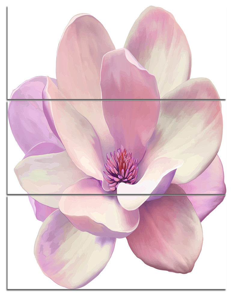 Cute Light Pink Magnolia Flower, Flowers Canvas Wall Artwork, 28x36, 3 Panels