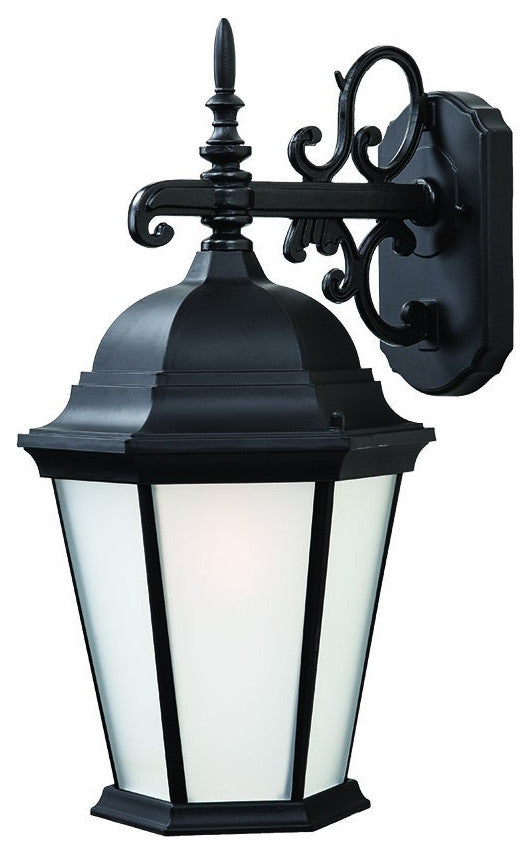 Matte Black Domed Hanging Lantern Wall Light