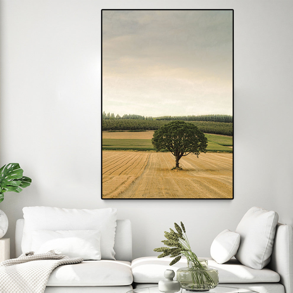 "Lone Tree in an Autumn Field" Oversized Framed Canvas, 60" x 40"