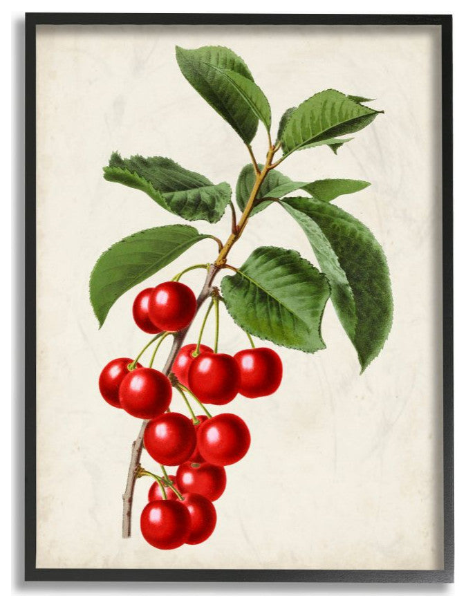 Vintage Fruit Cherry Painting, 11"x14"