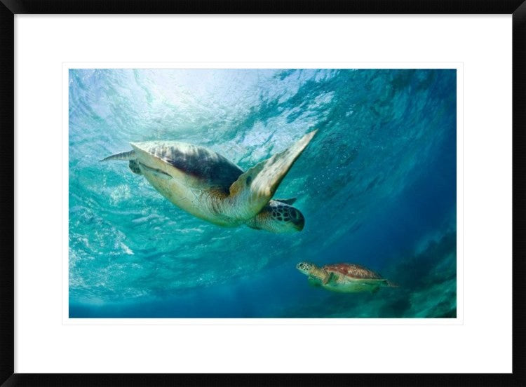 "Contact" Framed Digital Print by Andrey Narchuk, 30x22"
