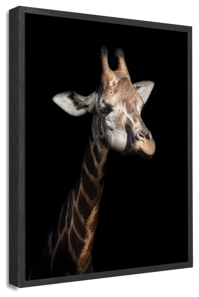 Giraffe in Low Key' Framed Print Wall Art by Helena Garcia