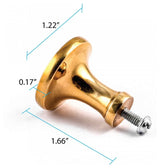 Cabinet Knob Bright Solid Brass Pedestal 1 1/4" |