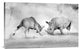 "Combat" Stretched Canvas Giclee by Juan Luis Duran, 30"x19"