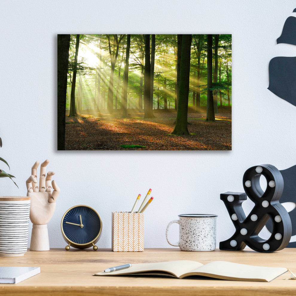 Epic Art 'Rays of Light,' Acrylic Glass Wall Art, 16"x12"