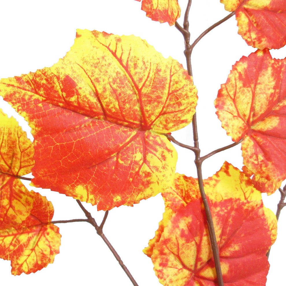 Close-up view of leaves on a white background; cropped/zoomed-in feature view with no text or diagrams.