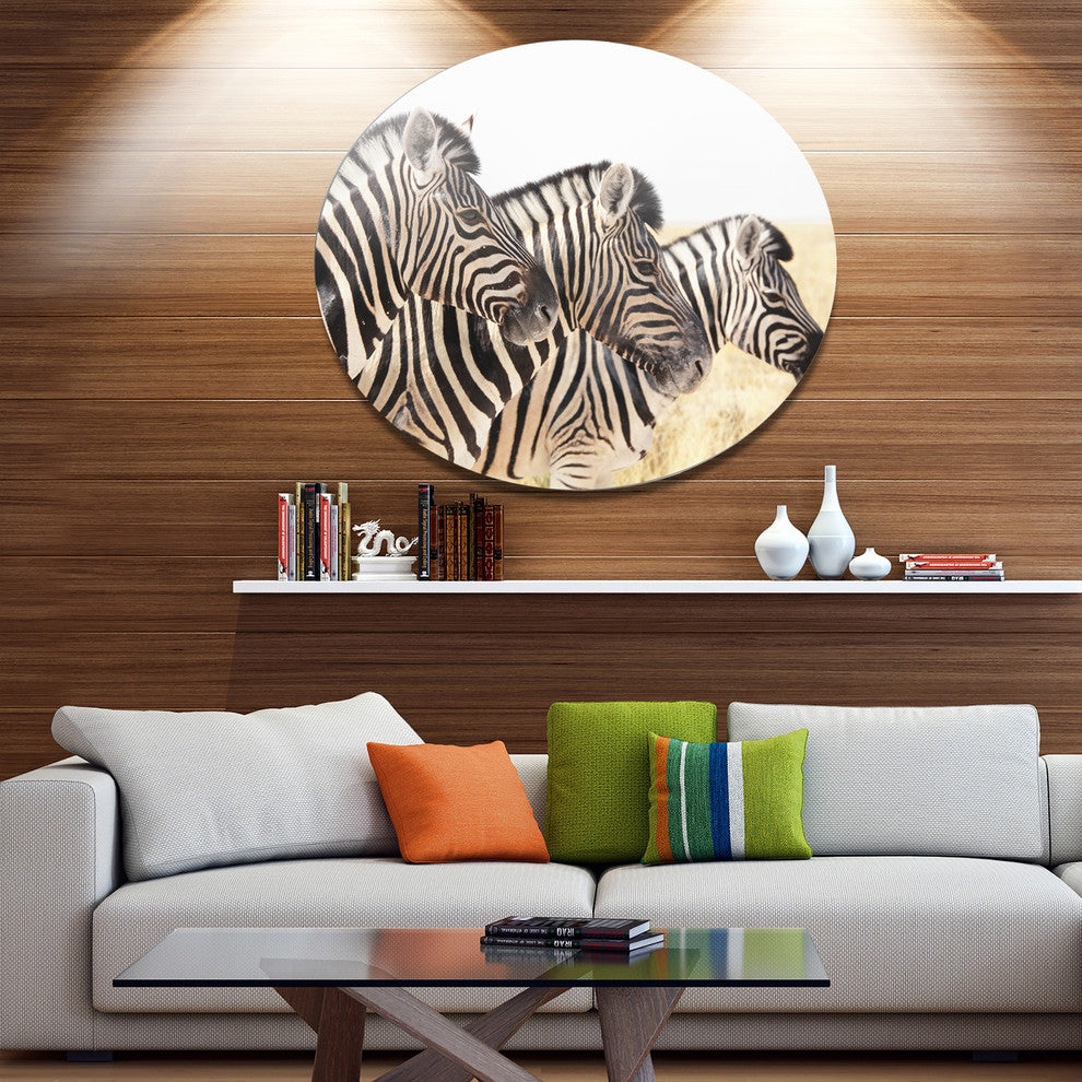 Zebras In A Row In Grassland, African Disc Metal Wall Art, 36"