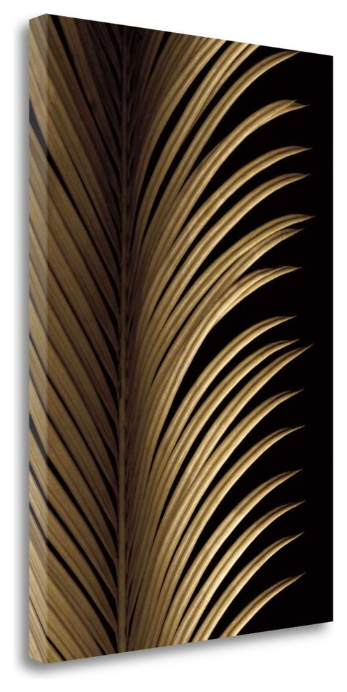"Tropical Leaf Study I" By Andrew Levine, Giclee Print on Gallery Wrap Canvas
