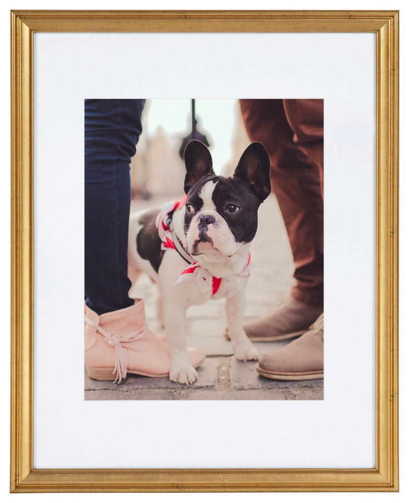 Adlynn Photo Frame Set, Gold, 11x14 Matted to 8x10