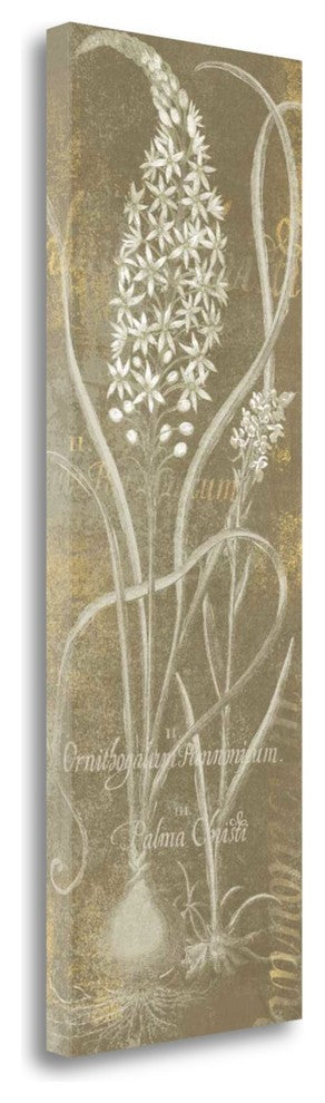 "Flower Lines III" By Sue Schlabach, Giclee Print on Gallery Wrap Canvas