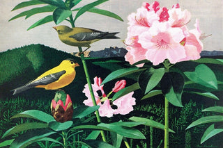 "Goldfinch" Painting Print on Wrapped Canvas