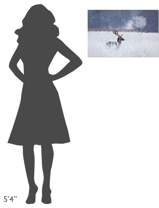 "Fallow Deer In The Frozen Winter Landscape" Canvas by Allan Wallberg, 24x16"