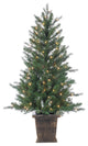 4' High Natural Cut Pre-lit Manitoba Pine  in Brown Container