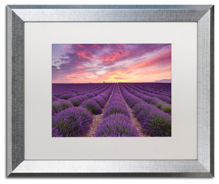 Michael Blanchette Photography 'Lavender Sunrise' Matted Framed Art, 20x16